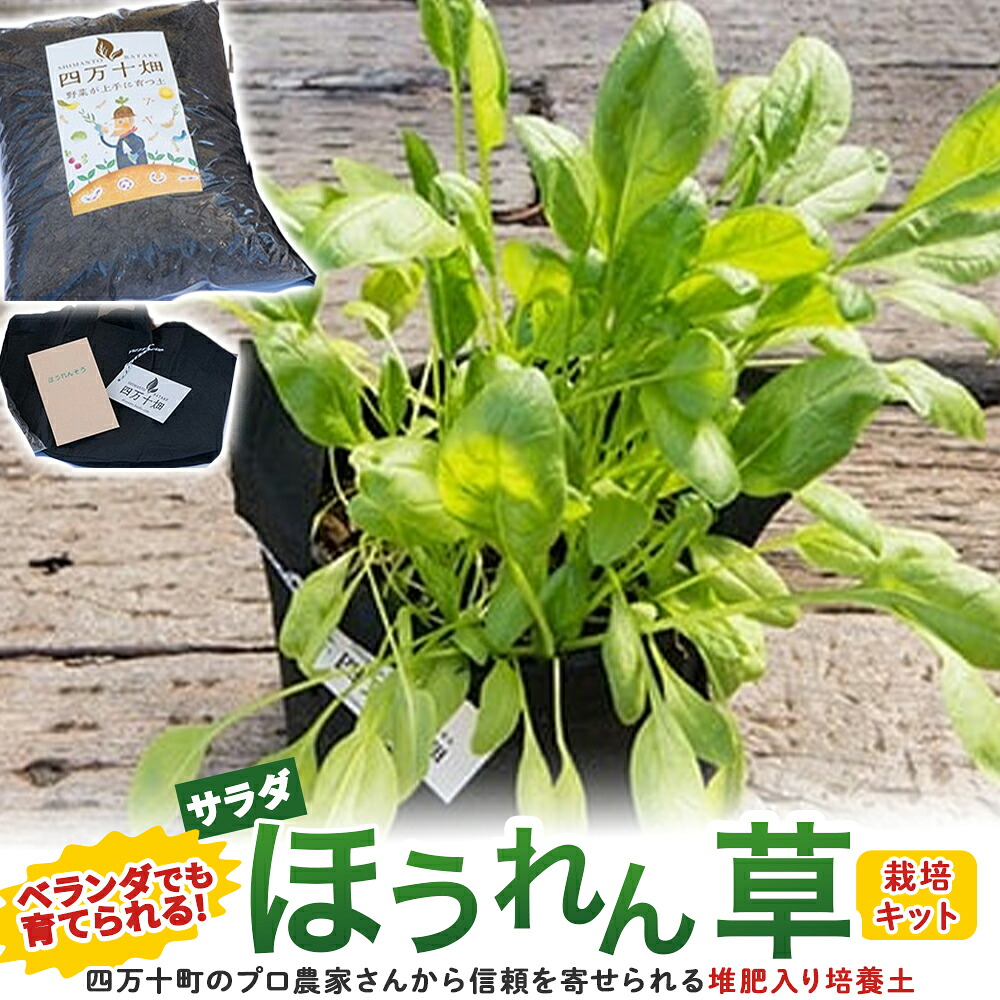 【ふるさと納税】縁側でも育てられるサラダ菜ホウレン草作りだす一揃いの道具 ／Fis-B06 余暇活動 ガーデニング 身寄り家庭菜園 園芸 縁側家庭菜園 プランター 種 内果皮 労働者階級操作手順の肥やし 育みそだてる土 サラダ菜に