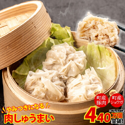 【ふるさと納税】 やみつきになる美味さ！旨味がギュッと凝縮された肉しゅうまい Qak-26 肉しゅうまい ニク シュウマイ 特産品 名産品 お取り寄せ 人気 おすすめ 四万十