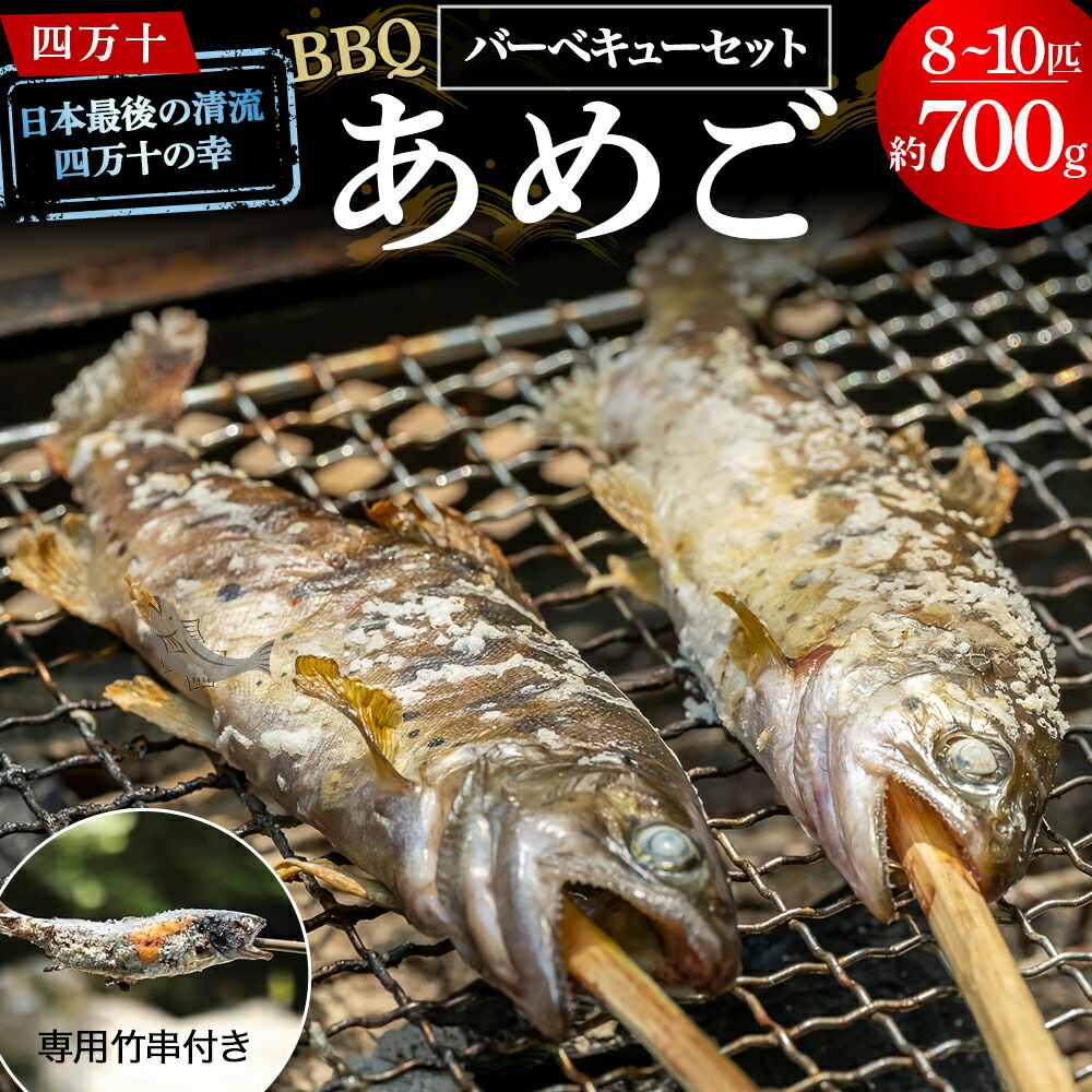 【ふるさと納税】Eay-01 子どもが喜ぶバーベキュー！清流育ちの四万十あめご【BBQ専用竹串付き】 おつまみ バーベキュー BBQ アウトドア アメゴ 魚 魚介 川魚 塩焼き