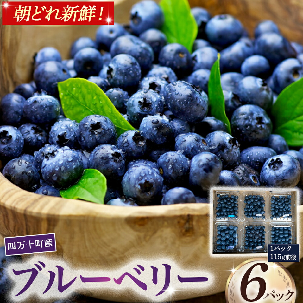 【ふるさと納税】四万十町産朝どれ！新鮮ブルーベリー 生果実 （115g×6パック）Cvs-10 ブルーベリー フルーツ フレッシュ 果物 ビタミンE アントシアニン 栄養 目にいい 健康 美容 ギフト 贈り物 スイーツ