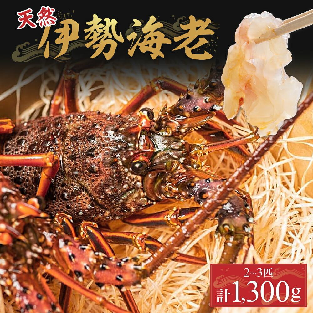 ふるさと納税 エビ 伊勢エビ 長崎県 長崎市 活伊勢海老（イセエビ）0.5kg・活サザエ1.5kg 伊勢海老 エビ サザエ セット 刺身 つぼ焼き 伊勢エビ 旨味 凝縮 生… A108a 長崎県産特大活き伊勢海老2尾セット - 長崎県佐世保市｜ふるさと