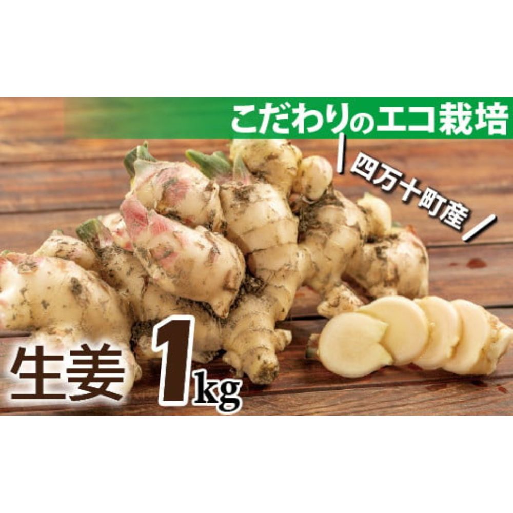 【ふるさと納税】【予約受付】ミネラル豊富なエコ栽培の生姜1kg ／Fms-20 しょうが ジンジャー おかず 野菜 大容量