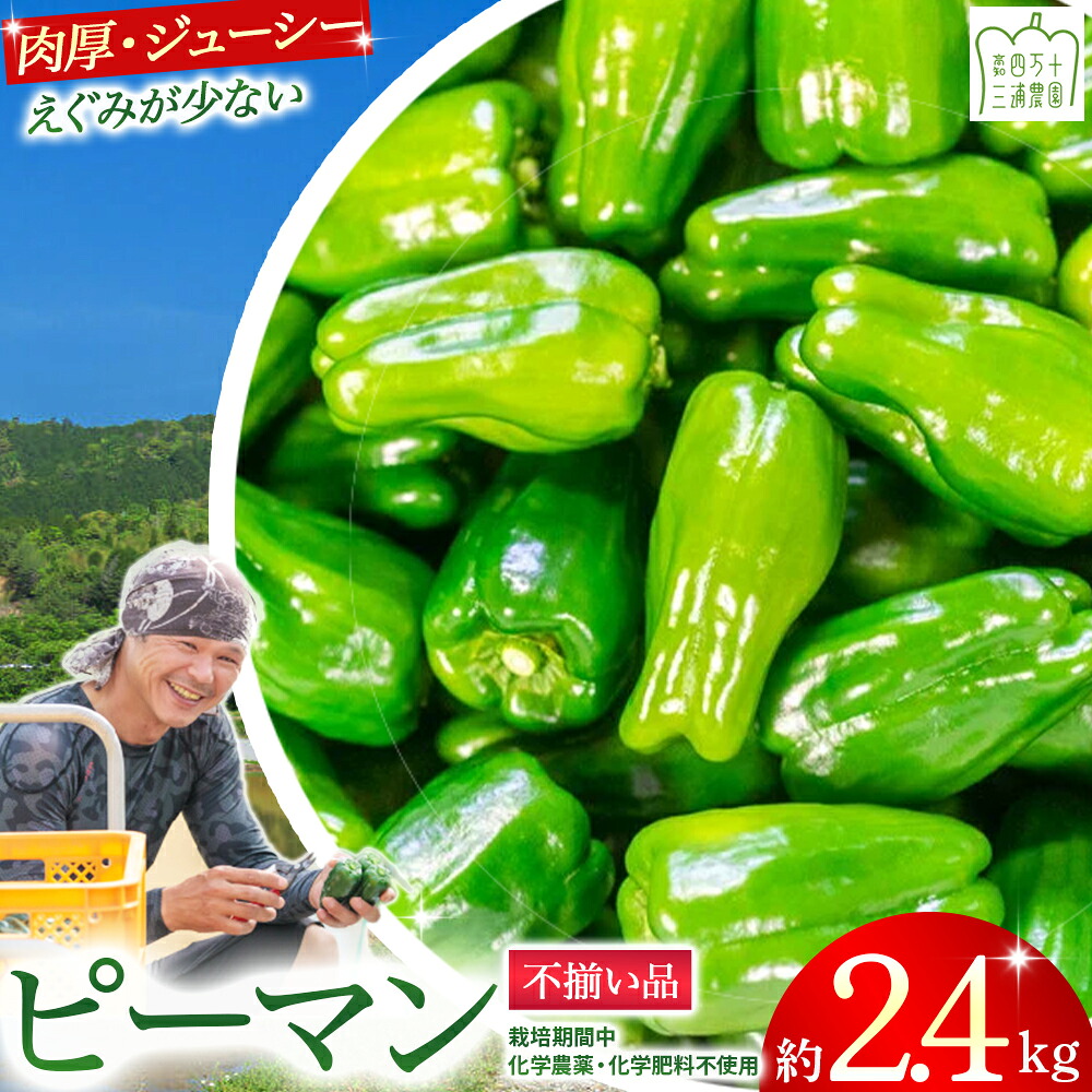 【ふるさと納税】【予約受付】【不揃い品】肉厚ジューシー! 栽培期間中化学農薬・化学肥料不使用のえぐみ少ないピーマン2.4Kg ／Fms-12 農産物 新鮮 ぴーまん ピーマン 肉厚ピーマン 野菜 大量