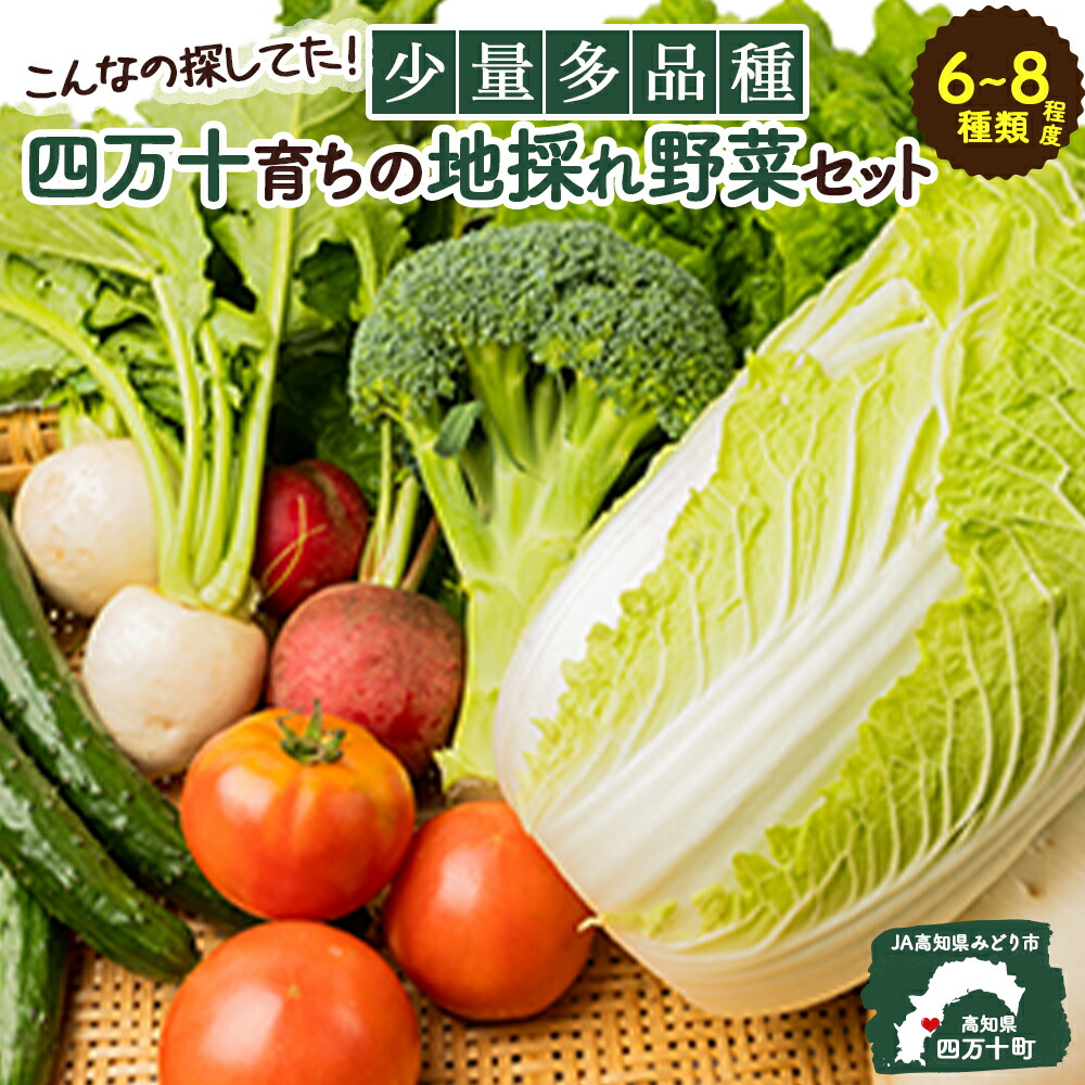 【ふるさと納税】 こんなの探してた！少量多品種 四万十育ちの地採れ野菜セット Qjs-A21 野菜便 やさい 国産野菜 季節 フレッシュ 旬 しょうが にら ピーマン トマト きゅうり せり しいたけ ほうれん草 菜の花 えんどう豆 なす みょうが かぼちゃ 大根