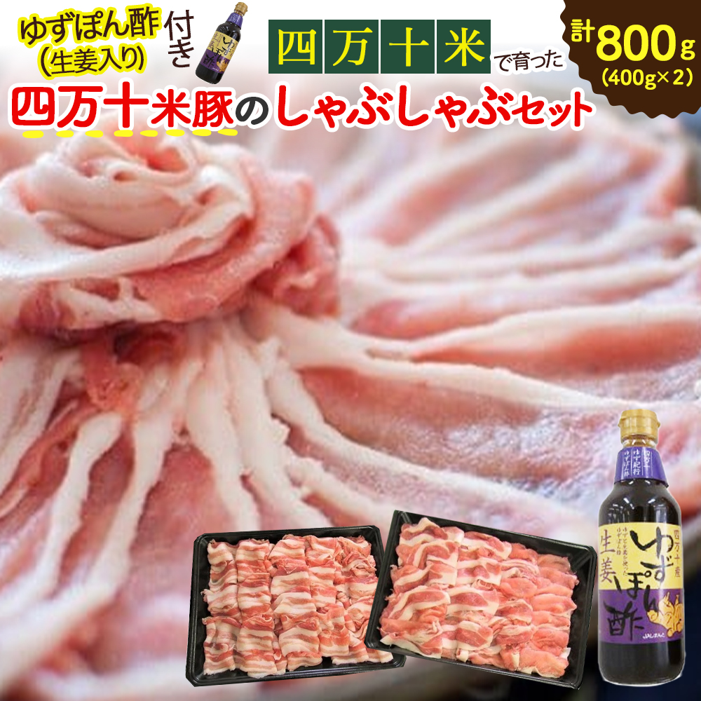 【ふるさと納税】 Qjs-01 柔らかい肉質と甘みが人気！しまんと米豚のしゃぶしゃぶセット 計800g 豚肉 豚 豚しゃぶ お取り寄せ 人気 ギフト お歳暮 お年賀