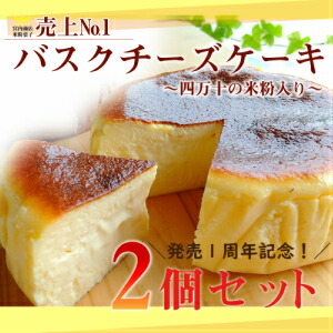 バスクチーズケーキ 四万十の米粉入り 2個セット 高知県四万十町 その他 期間限定 Bmu 63 ケーキ ふるさと納税 期間限定 印象のデザイン その他