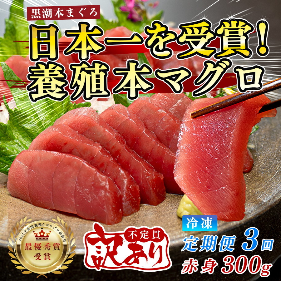 【ふるさと納税】訳あり まぐろ マグロ 本鮪 黒潮本まぐろ 赤身 定期便 3回 300g &times; 3回 刺身 さしみ 最優秀賞 全国養殖クロマグロ品評会 受賞 魚 魚介類 海鮮 柵 サク 冷凍 お取り寄せ 産地直送 ギフト 贈答 高知県 大月町｜高知県大月町