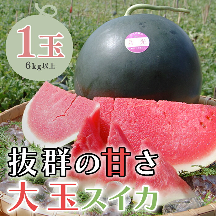 【ふるさと納税】抜群の甘さ！ スイカ 1玉 大玉 (6kg以上) 甘い 高糖度 西瓜 すいか 種なし 縞スイカ 黒玉 ギフト お中元 御中元 産地直送 旬 果物 フルーツ 取り寄せ ねばねばファーム 高知県 大月町産