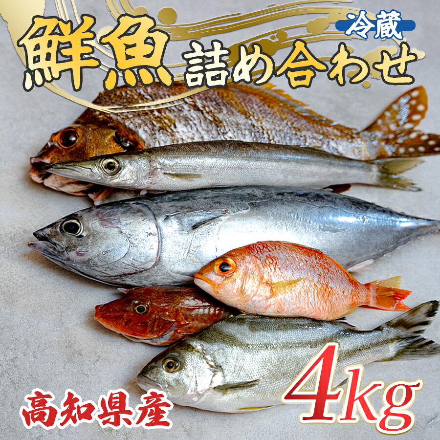 【ふるさと納税】高知県産 鮮魚 詰め合わせ便 4kg 谷鮮魚食堂 内臓処理済み 産地直送 生魚｜海鮮 セット 刺身 刺し身 煮付け カツオのたたき 詰合せ 食べ比べ グルメ 魚 お取り寄せ ギフト 贈答用 鮮魚セット 鮮魚 詰め合わせ 高知県 海鮮セット 大月町