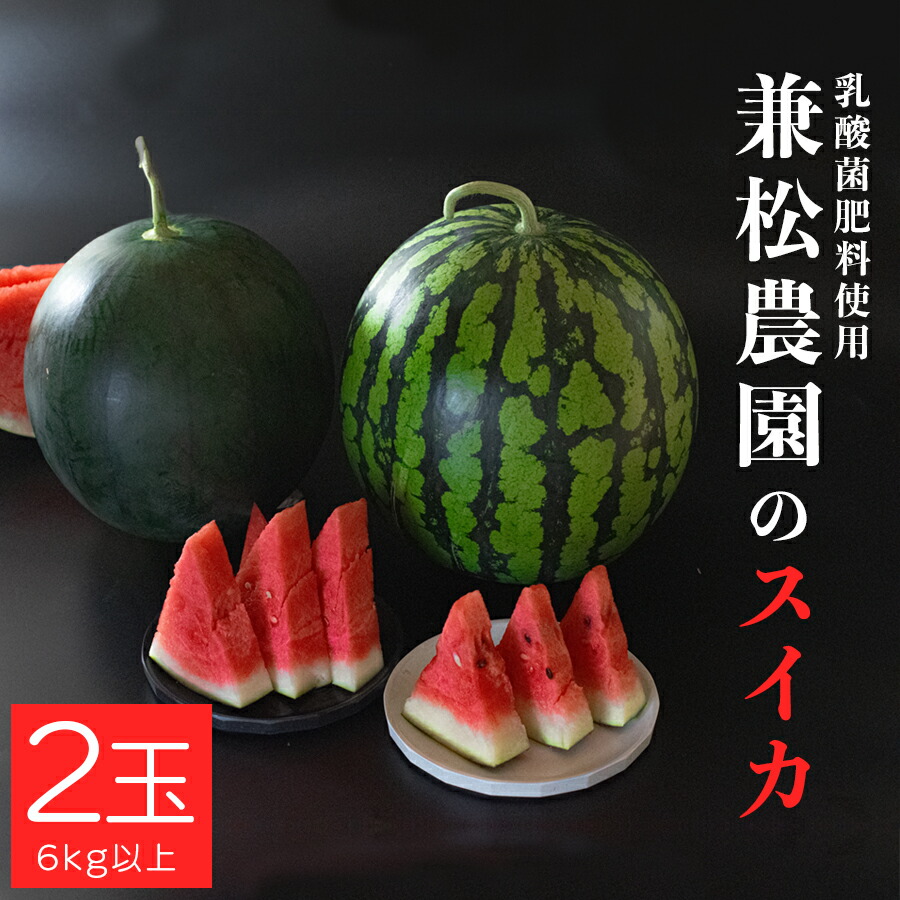 【ふるさと納税】朝採れ すいか 2玉 大玉スイカ （6kg以上） 【先行予約 7月中旬頃より発送】 甘い あまい スイカ 西瓜 羅皇 ブラックジャック 種なし 新鮮 旬 果物 フルーツ 野菜 朝穫り 期間限定 夏ギフト お中元 兼松農園 高知県 大月町産｜高知県大月町