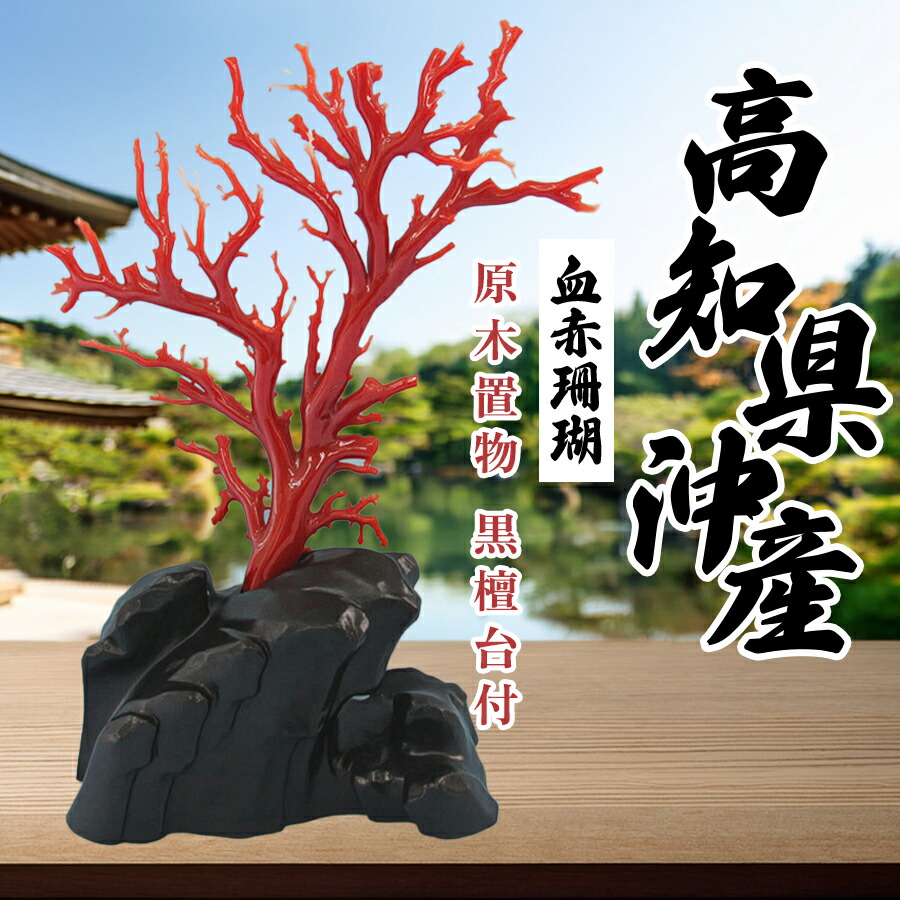 楽天市場】【ふるさと納税】珊瑚御守本尊シリーズ・谷脇仁光作・大日