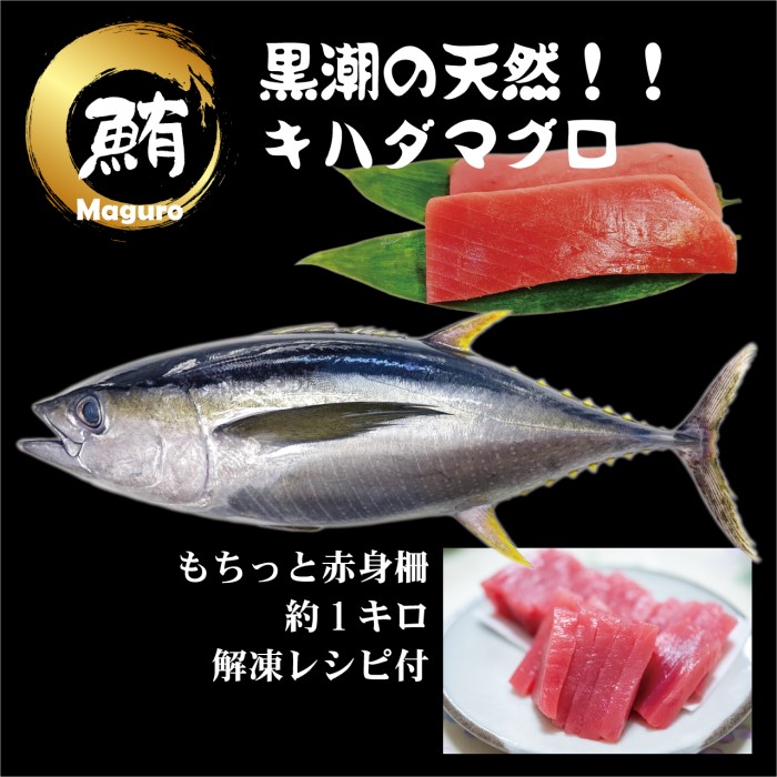【ふるさと納税】【谷鮮魚食堂】天然キハダマグロ　赤身柵 約1ｋｇ