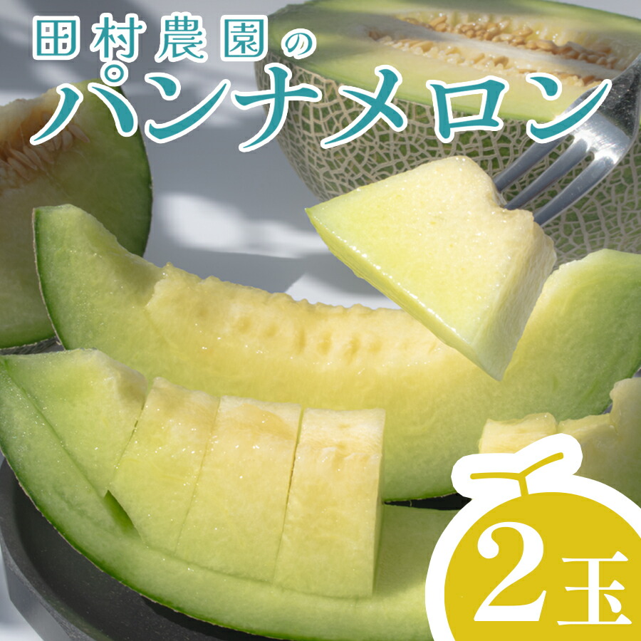 【ふるさと納税】パンナメロン 2玉 希少 甘い 芳醇 メロン フルーツ 果物 濃厚 産地直送 数量限定 厳選 ギフト 贈答用 贈り物 プレゼント お中元 お歳暮 ご褒美 めろん ぱんなめろん 果汁たっぷり 果肉 果実 糖度 人気 旬 夏 デザート