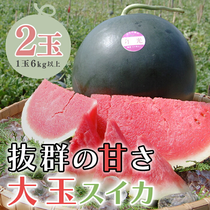 【ふるさと納税】【高知県 大月町産】抜群の甘さ！ねばねばファームのスイカ　2玉