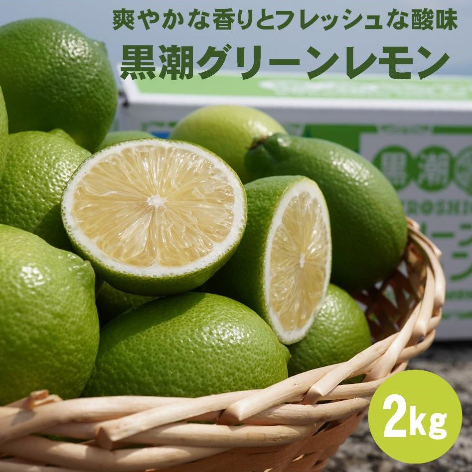 【ふるさと納税】温室 グリーン レモン 2kg 黒潮町産 ［1309］