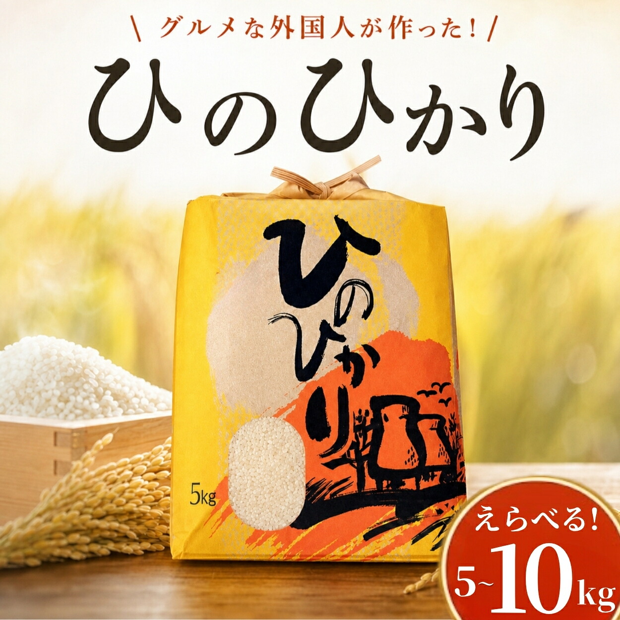 【ふるさと納税】選べる! ひのひかり 白米 5kg 10kg グルメな外国人 農家 が作った こだわり お米 ヒノヒカリ 2025年産 2026年産 新米 米 国産米 えらべる おこめ 一人暮らし ミネラル 豊富 期間限定 季節限定 ふるさと納税 ふるさと納税米 人気 おすすめ 高知県 黒潮町｜高知県黒潮町