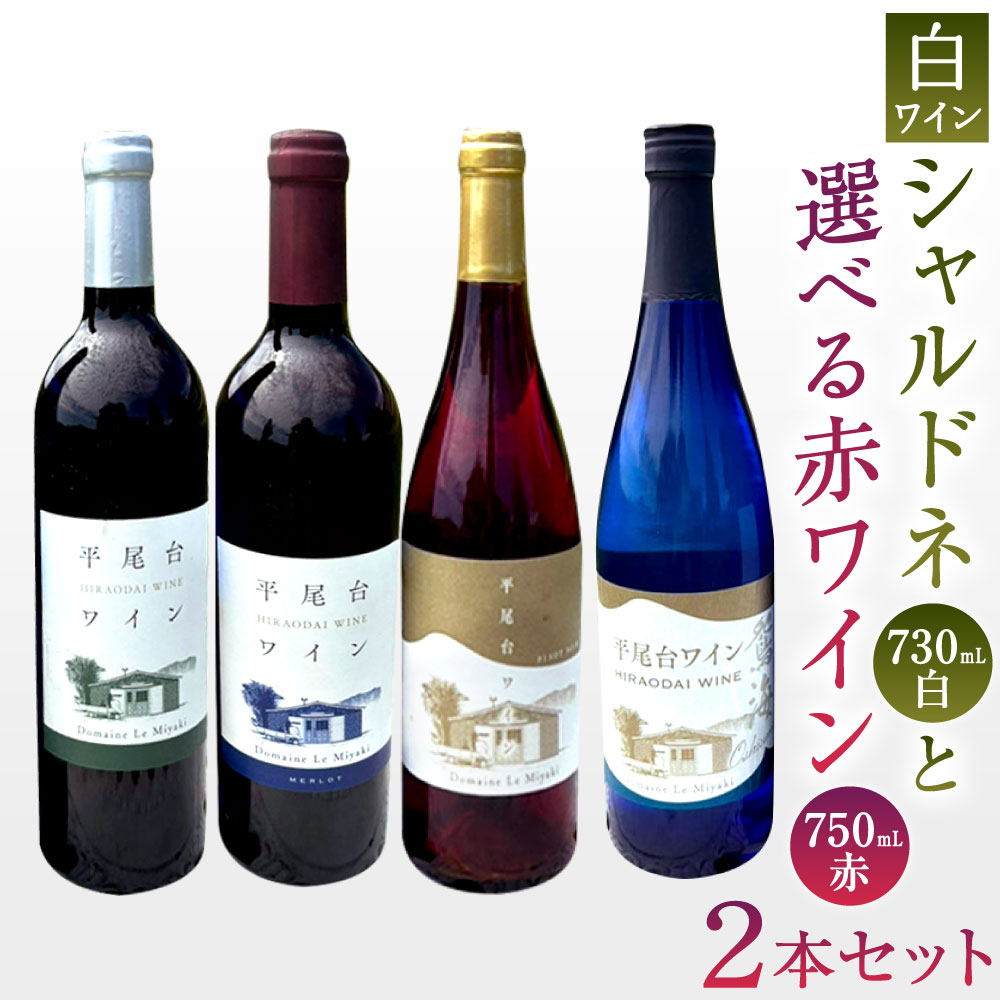 【ふるさと納税】〈2本セット〉平尾台白ワイン・シャルドネ(730ml)と 選べる赤ワイン(750ml) カベルネ・ソーヴィニヨン / メルロー / ピノ・ノワール ワイン 赤白ワイン 平尾台産ブドウ お酒 瓶 ブドウワイン ぶどう シャルドネ 福岡県北九州市