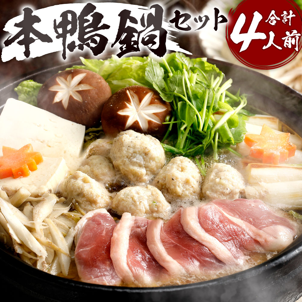 【ふるさと納税】本鴨 鍋セット 2人前×2セット 合計4人前 鴨肉 鴨鍋 特製つみれ 出汁 鶏肉 そば麺  鴨南蛮そば お鍋 鍋 冬 冷凍 送料無料