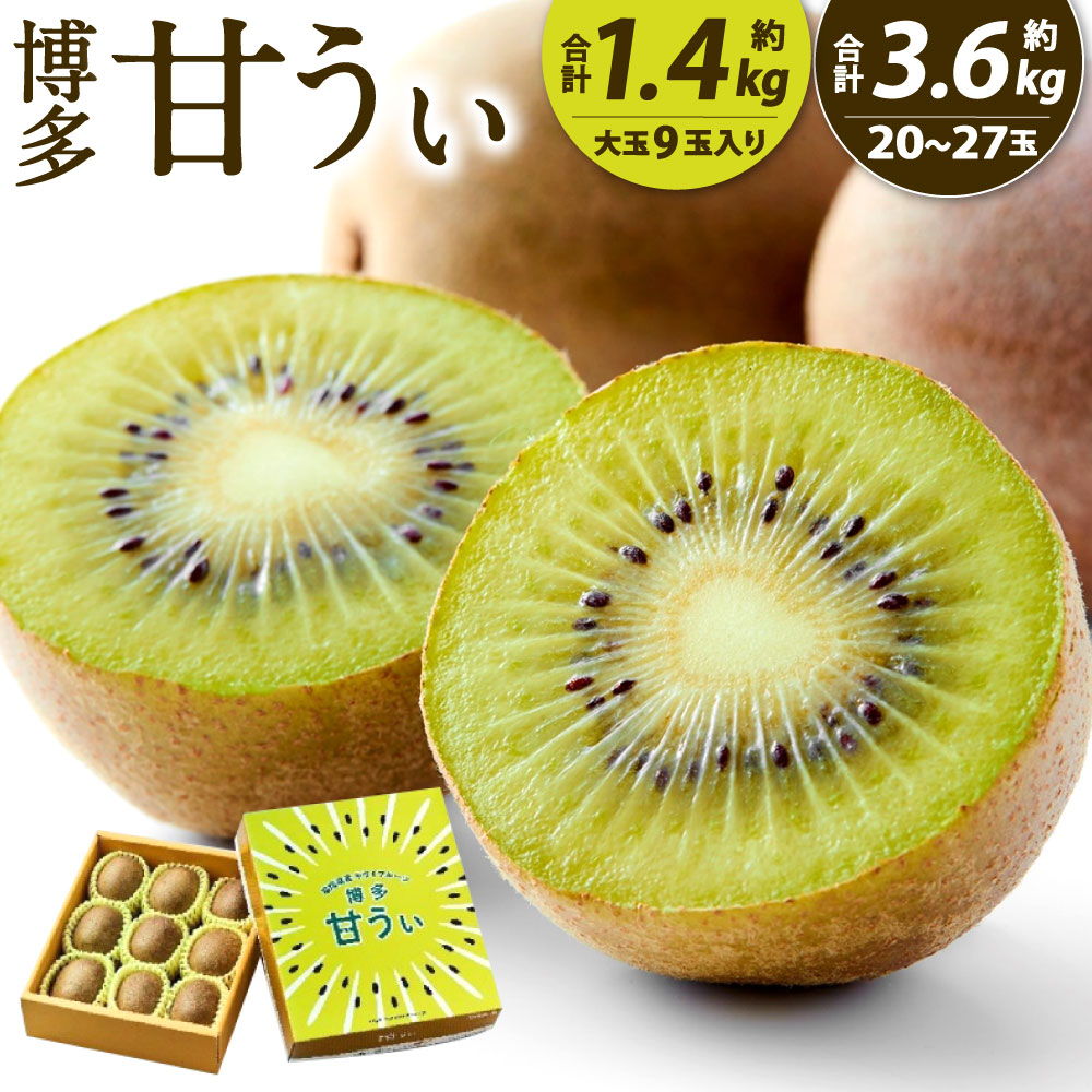 【ふるさと納税】福岡県産 博多甘うぃ 〈選べる〉約1.4kg (大玉9玉入り)  約3.6kg(20玉～27玉入り) キウイ キウイフルーツ 果物 フルーツ 旬 大玉 新品種 果実 甘み ジューシー 甘い 国産 福岡県限定生産 九州 送料無料【2025年11月上旬から12月上旬発送予定】