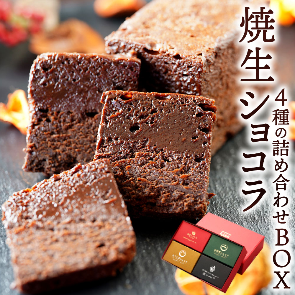 焼生ショコラ 4種の詰め合わせ BOX 各75g×4種 酒ショコラ ほうじ茶ショコラ お抹茶ショコラ 食べ比べ スイーツ お菓子 焼き菓子 洋菓子 チョコレート 冷凍 福岡県 九州 送料無料