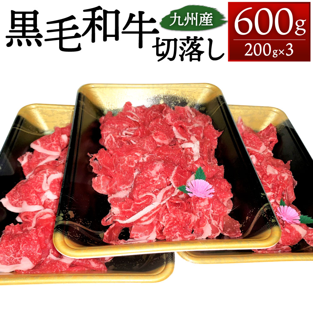 有名ブランド 焼肉の龍園 博多和牛 タレ漬 カルビ RT005 合計1kg 500g×2 黒毛和牛 国産牛 お肉 牛肉 たれ漬け 味付き 冷凍 国産  九州 福岡県 送料無料 qdtek.vn