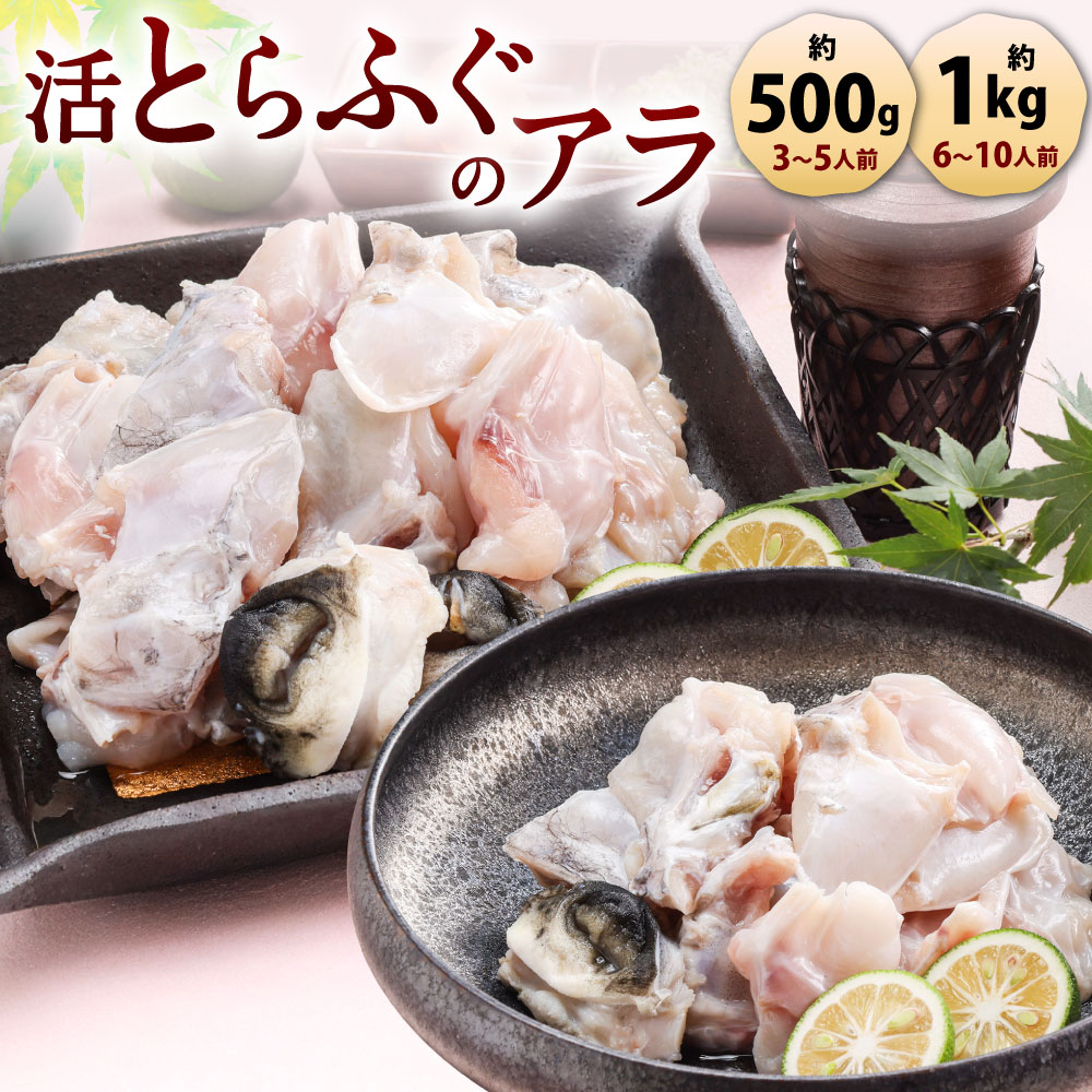 【ふるさと納税】老舗活魚割烹｢三幸｣ 活とらふぐのアラ ＜選べる＞【約500g / 3～5人前】または 【約1kg / 6～10人前】とらふぐ トラフグ あら アラ ふぐ フグ ふぐアラ 鍋 ふぐ鍋 ふくちり 唐揚げ グルメ 冷凍 九州 送料無料