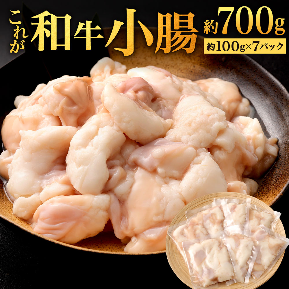 【ふるさと納税】これが和牛小腸 合計約700g ( 約100g×7パック ) お肉 牛肉 ホルモン 国産牛 もつ鍋 ホルモン鍋 焼肉 焼き肉 真空パック 急速冷凍 冷凍 福岡県 九州