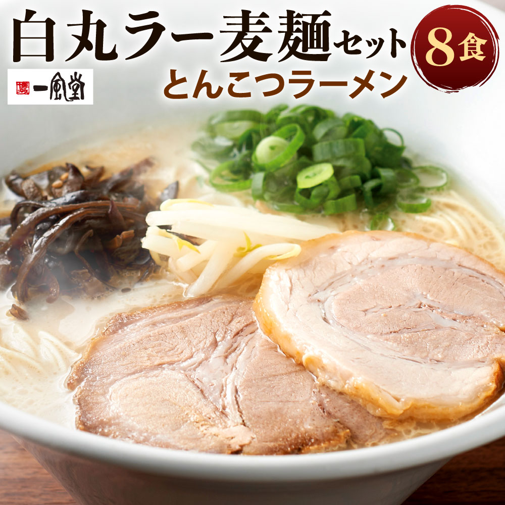 【ふるさと納税】一風堂 白丸 ラー麦麺セット 8食分 スープ付き ラーメン 拉麺 ラー麦 細麺 豚骨ラーメン とんこつラーメン ストレート麺 乾麺 とんこつ 麺 福岡県北九州市｜福岡県北九州市