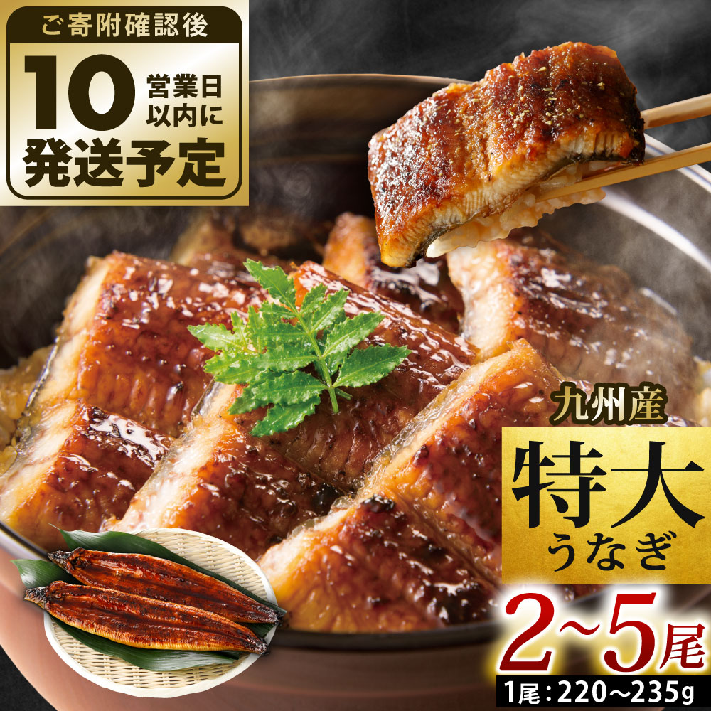 【ふるさと納税】選べる 九州産 うなぎ 蒲焼 特大 ( 1尾あたり220～235g ）2尾／3尾／4尾／5尾 たれ・山椒付き 鰻 ウナギ 蒲焼き 大きい 冷凍 国産 送料無料 鹿児島、宮崎、熊本等産うなぎ原料使用