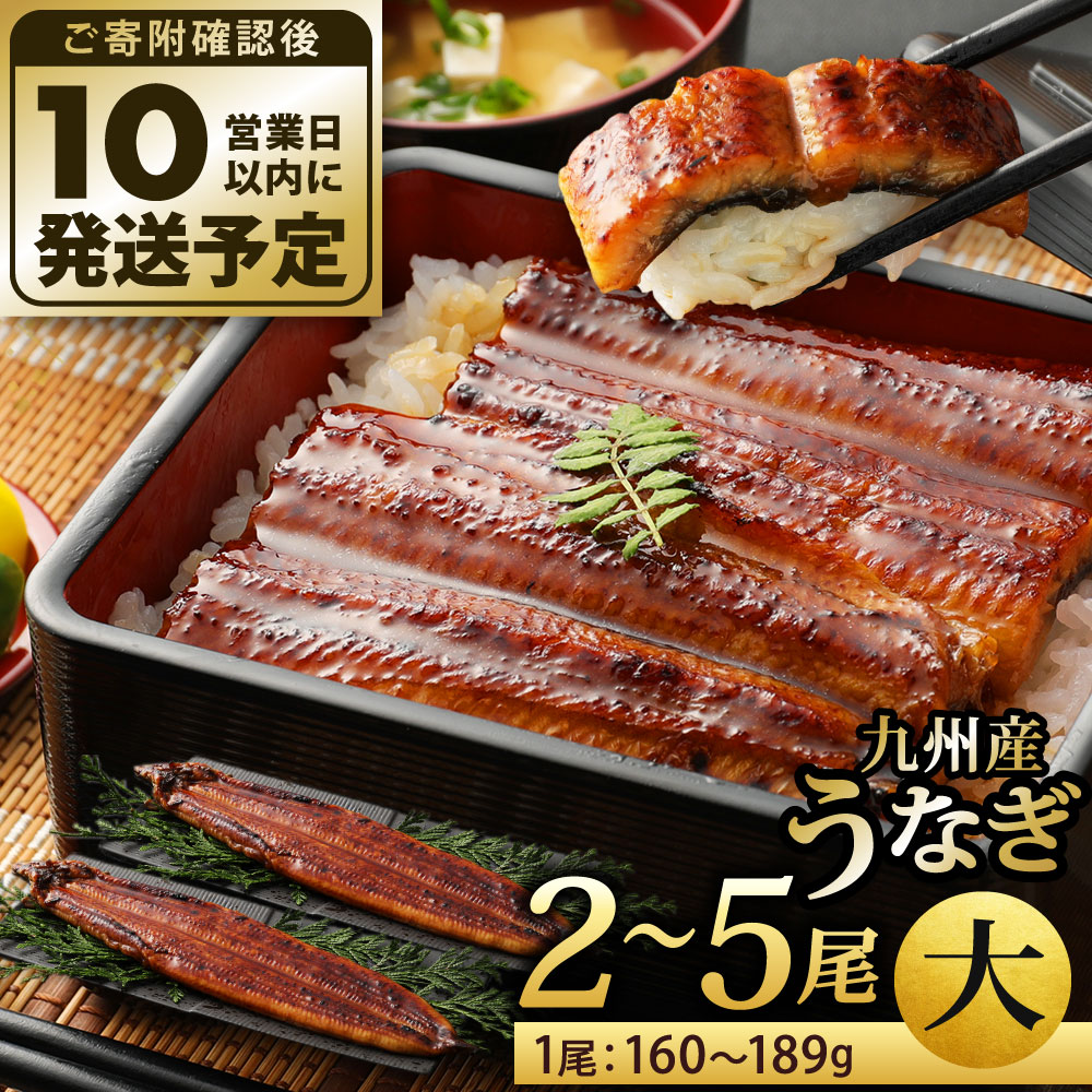 【ふるさと納税】九州産 うなぎ 蒲焼 大(1尾あたり160～189g) 2尾／3尾／4尾／5尾 特製たれ・山椒付き 鰻 ウナギ 蒲焼き 大きい 冷凍 国産 送料無料 鹿児島、宮崎、熊本等産うなぎ原料使用