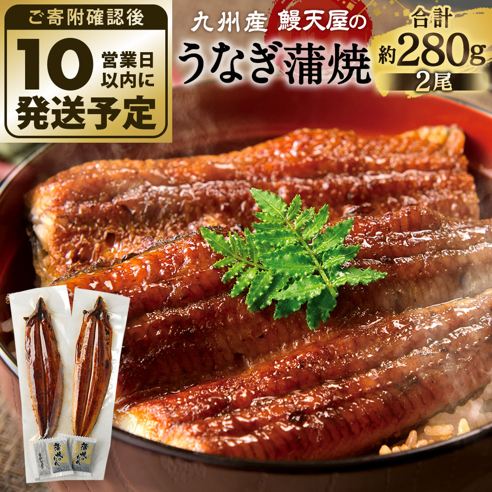 【ふるさと納税】 鰻天屋の九州産 うなぎ 蒲焼 約140g×2尾 セット 合計約280g 特製たれ・山椒付き 鰻 蒲焼き 冷凍 国産 送料無料 鹿児島、宮崎、熊本等産うなぎ原料使用