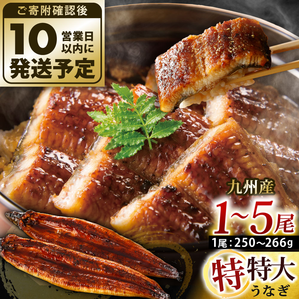 【ふるさと納税】九州産 うなぎ蒲焼 特特大 <選べる>1尾/2尾/3尾/4尾/5尾 (1尾あたり250~266g) たれ・山椒付き 鰻 ウナギ 蒲焼き 特大 大きい 土用の丑の日 冷凍 国産 鹿児島、宮崎、熊本等産うなぎ原料使用|福岡県北九州市
