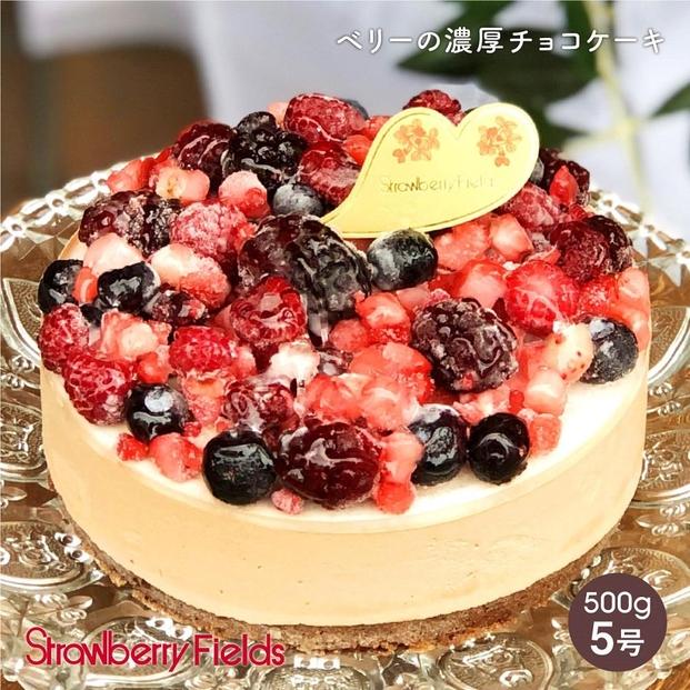 【ふるさと納税】【福岡市】ベリーの濃厚チョコケーキ　5号　15cm径　ストロベリーフィールズ