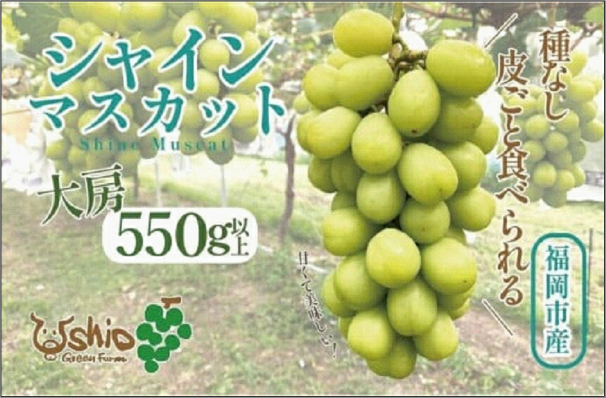 【ふるさと納税】【2026年8月以降順次発送】福岡市産シャインマスカット【北海道・沖縄・離島配送不可】　お届け：2026年8月1日～2026年9月21日まで