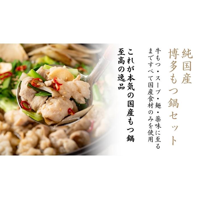 【ふるさと納税】【純国産】博多もつ鍋セット (2～3人前)＜醤油味＞
