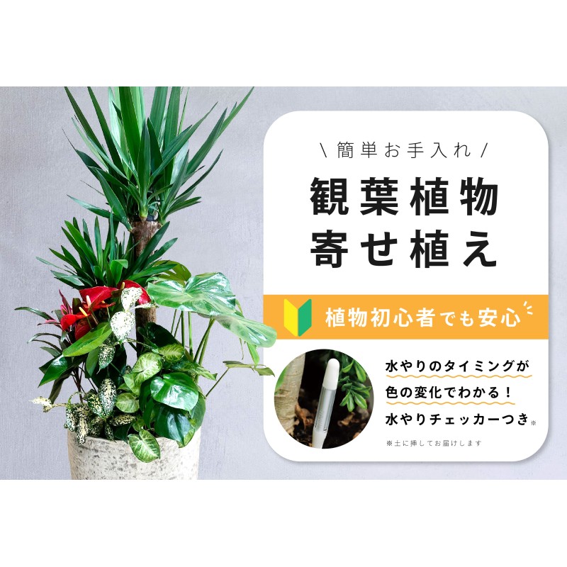 高じろじろ見る文芸批評しっぺい返し品特集