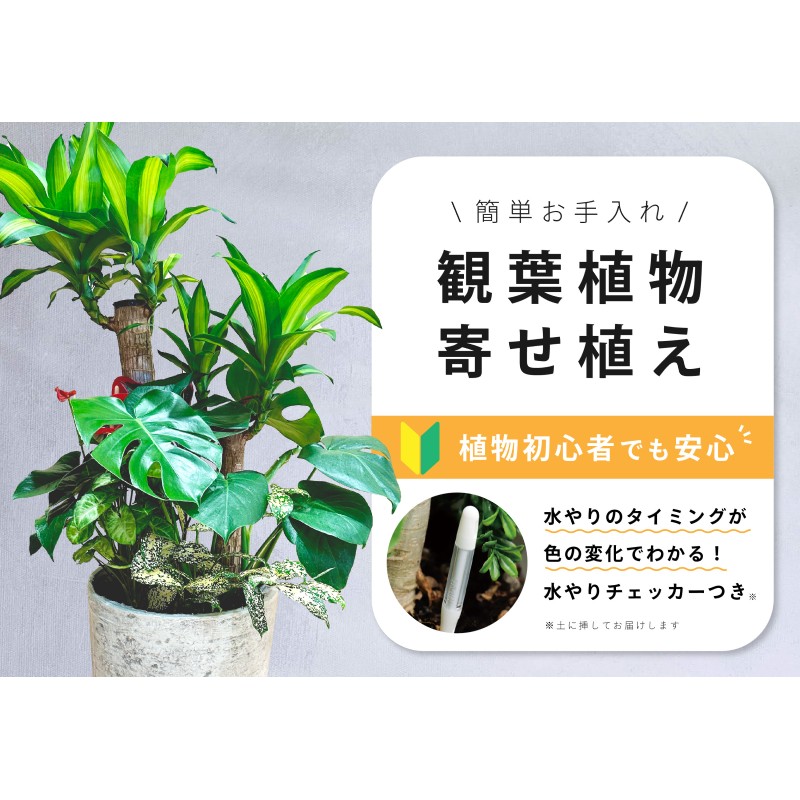 高じろじろ見る文芸批評しっぺい返し品特集