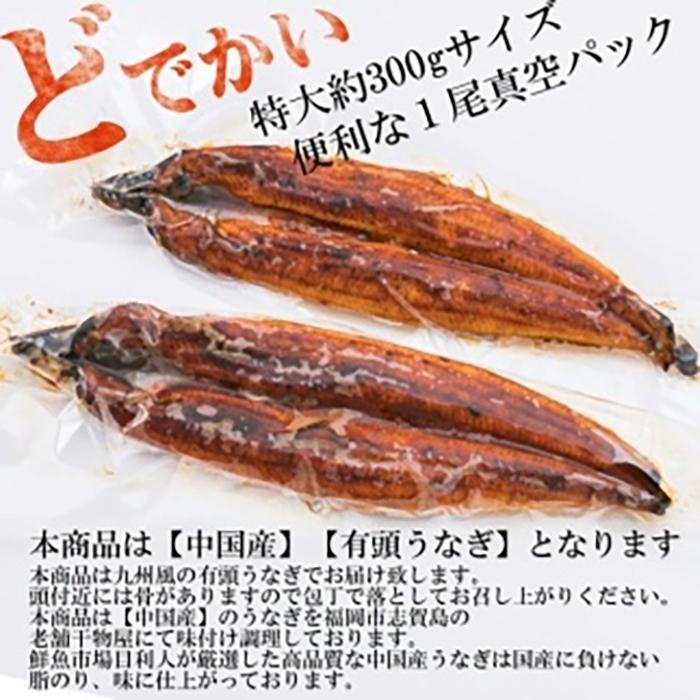 最大61%OFFクーポン うなぎ蒲焼 約600g 約300g×2尾 fucoa.cl