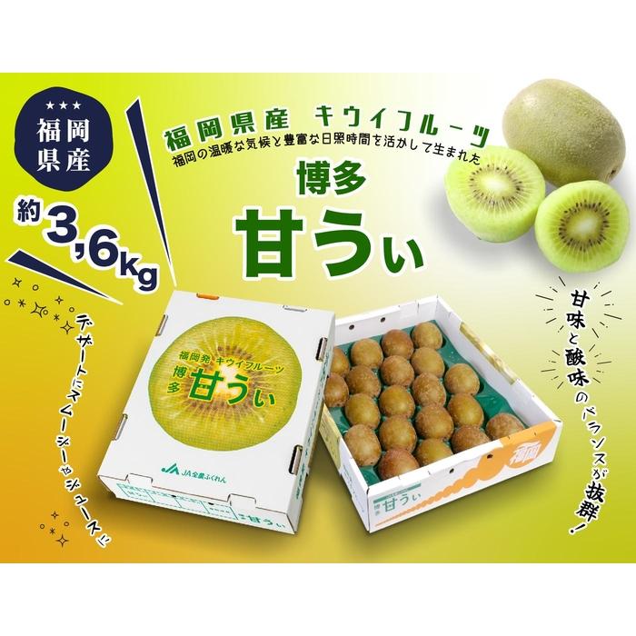 【ふるさと納税】博多「甘うい」の贅沢果実　約3.6kg | フルーツ 果物 くだもの 食品 人気 おすすめ 送料無料