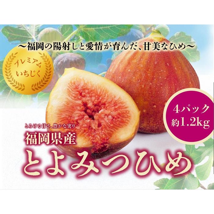 【ふるさと納税】とよみつひめ　４パック約1200gセット | フルーツ 果物 くだもの 食品 人気 おすすめ 送料無料
