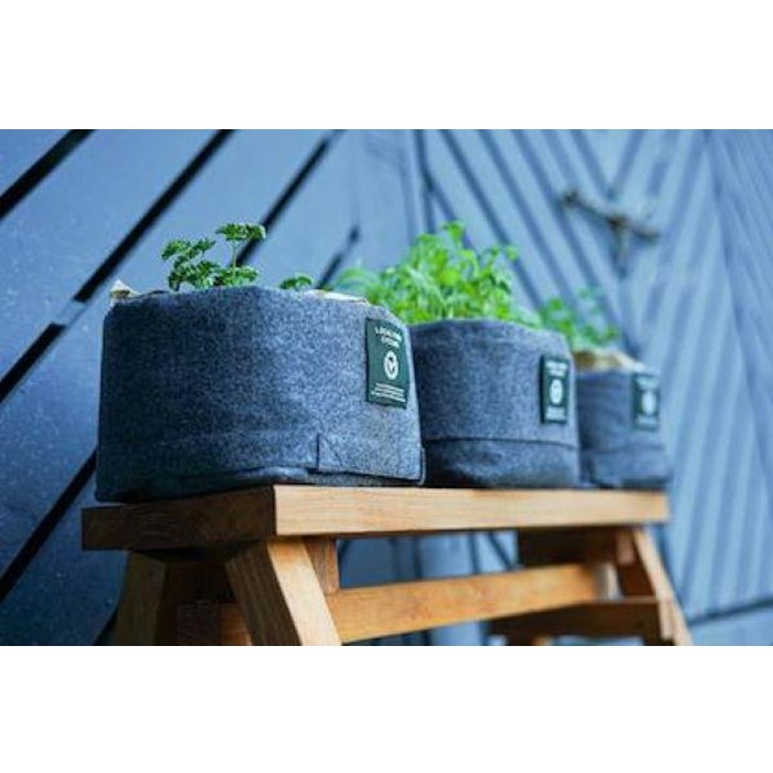 ふるさと納税 3週間のコンポスト体験と野菜栽培ができるlfcガーデニングセット 楽天ふるさと 納税 福岡 福岡県 福岡市 ガーデニング 栽培キット 野菜 栽培セット コンポスト 生ゴミ バッグ 土 プランター 野菜の種 家庭菜園 支援品 支援 返礼品 お礼の品 堆肥 体験