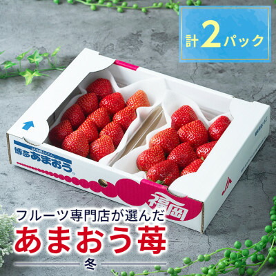 【ふるさと納税】【11月下旬より順次発送】酸味と甘みの絶妙なバランス・冬あまおう2パック(大牟田市)【配送不可地域：離島・北海道・沖縄県】【1226658】