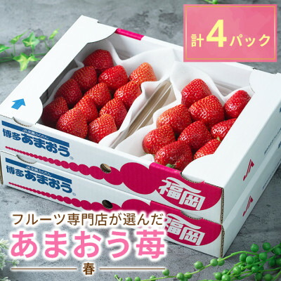 【ふるさと納税】【2026年発送先行予約】酸味と甘みの絶妙なバランス・春あまおう4パック(大牟田市)【配送不可地域：離島・北海道・沖縄県】【1226669】