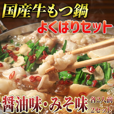 【ふるさと納税】よくばりもつ鍋セット 醤油味2人前&みそ味2人前(合計4人前) (米粉麺付)(大牟田市)【配送不可地域：離島】【1289106】｜福岡県大牟田市