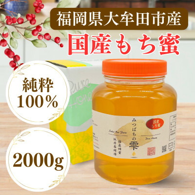 【ふるさと納税】みつばちの雫　国産もち蜂蜜　2000g【1481084】