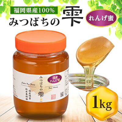 【ふるさと納税】【5月～6月発送】みつばちの雫　国産れんげ蜜　1000g【1496816】