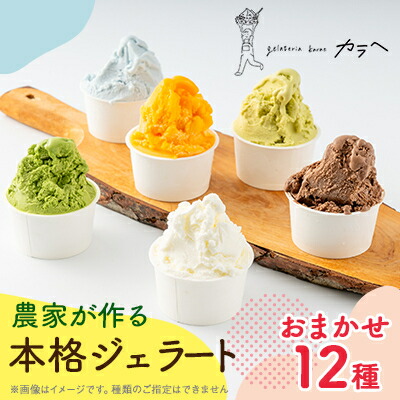 【ふるさと納税】福岡県産 農家が作る本格ジェラート　　12種類おまかせセレクション【配送不可地域：離島】【1543307】