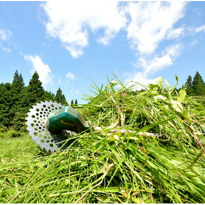 【ふるさと納税】実家・空き家の草刈り・草取り・剪定(大牟田市)_ 草刈り 草取り 剪定 空き家管理 実家管理 庭木手入れ 雑草対策 大牟田市 見守りサービス【1739304】｜福岡県大牟田市