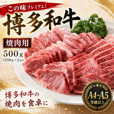 【ふるさと納税】この味プレミアム!【A4～A5】博多和牛焼肉用　500g(250g&times;2p)(大牟田市)【配送不可地域：離島】【1758353】｜福岡県大牟田市