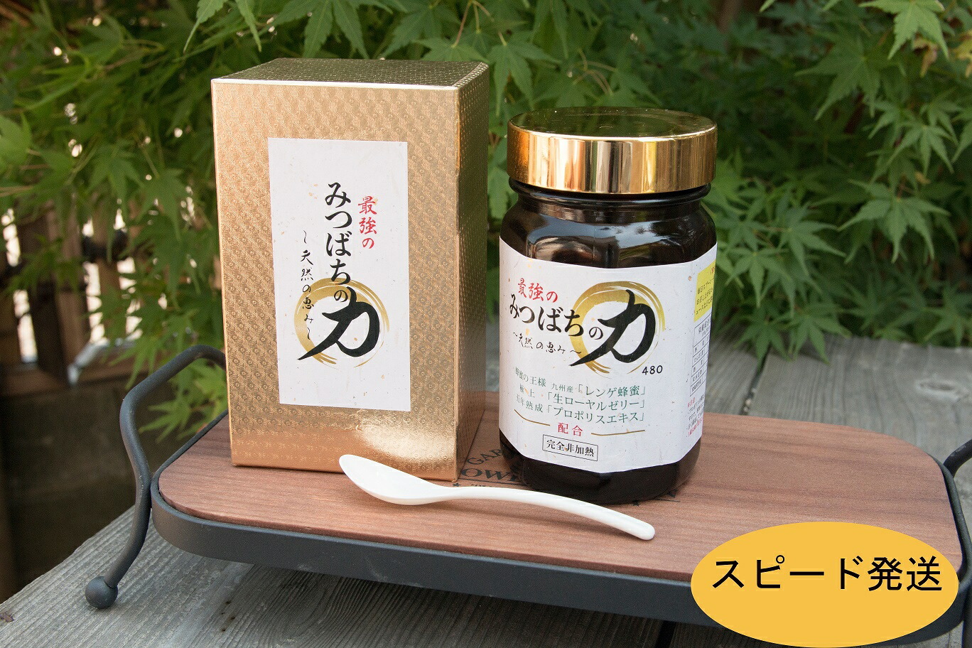 九州産レンゲ蜜 高濃度の生ローヤルゼリー 熟成したプロポリスエキスを配合した健康食品 健康食品 ふるさと納税 ふるさと納税 みつばちの力480ｇ 国産レンゲ蜜 生ローヤルゼリー プロポリスエキス配合 福岡県大牟田市